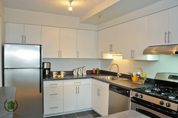 Flat White Green Castle Cabinets